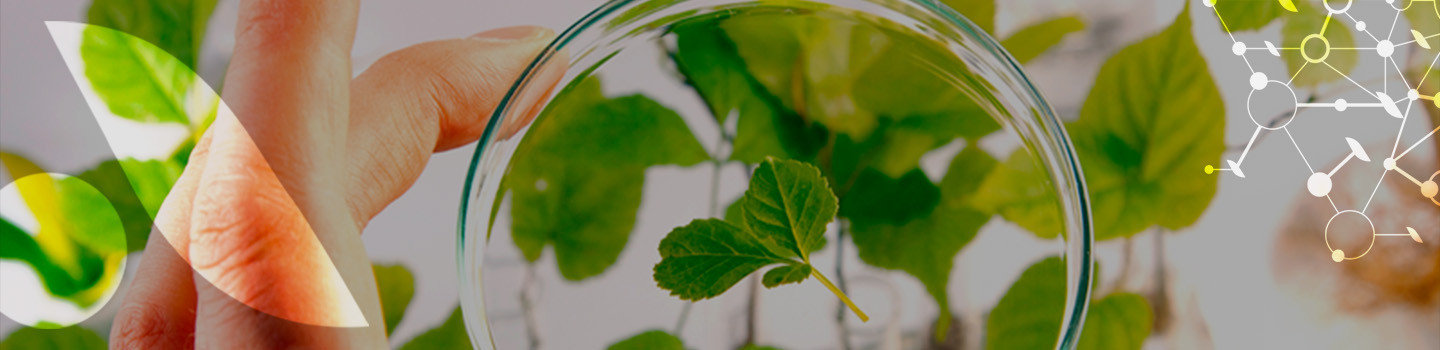 Devant -Arkopharma hp page banners 14